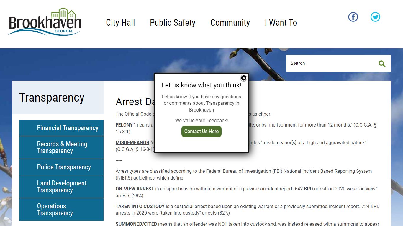 Arrest Data | Brookhaven Georgia
